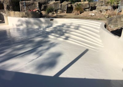 Swimming Pool Without Water